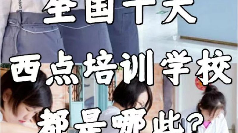 小标题：编程教育的兴起